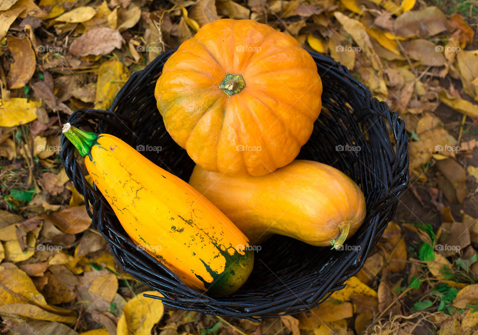 Fall, No Person, Pumpkin, Food, Nature