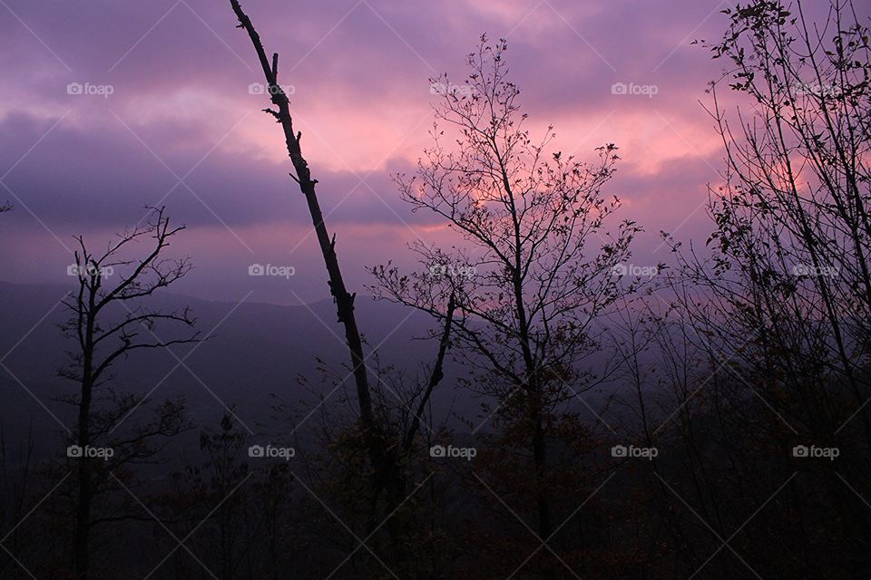 A landscape in the beautiful "foreste casentinesi"