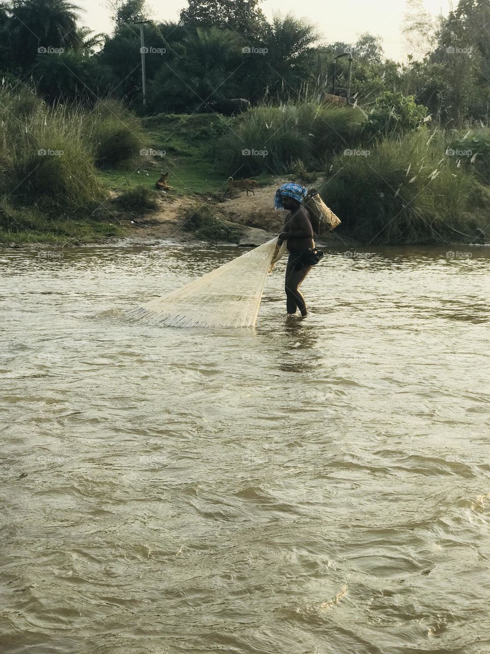 A fisherman using traditional fishing technique in the river 