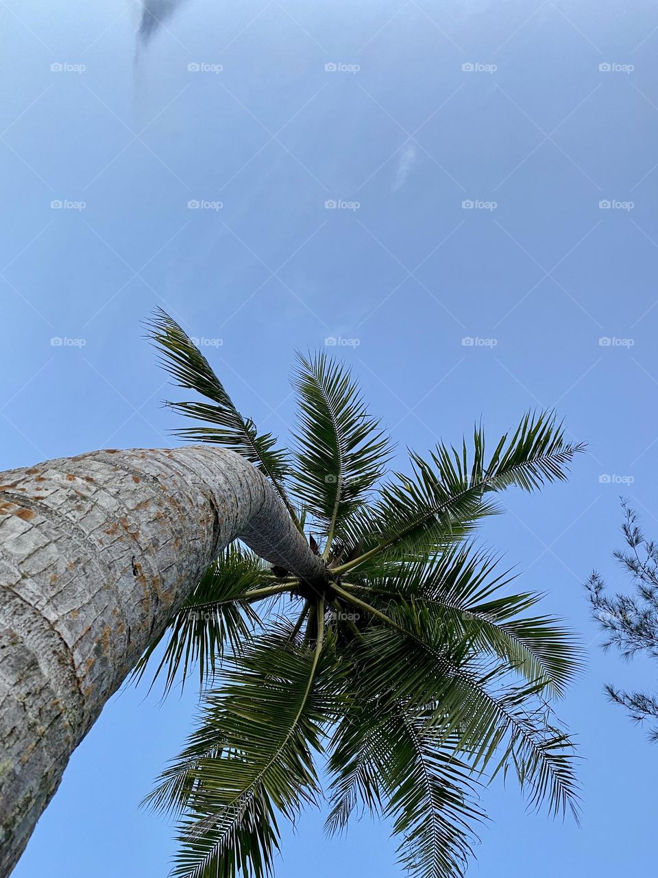 Holiday on the beach