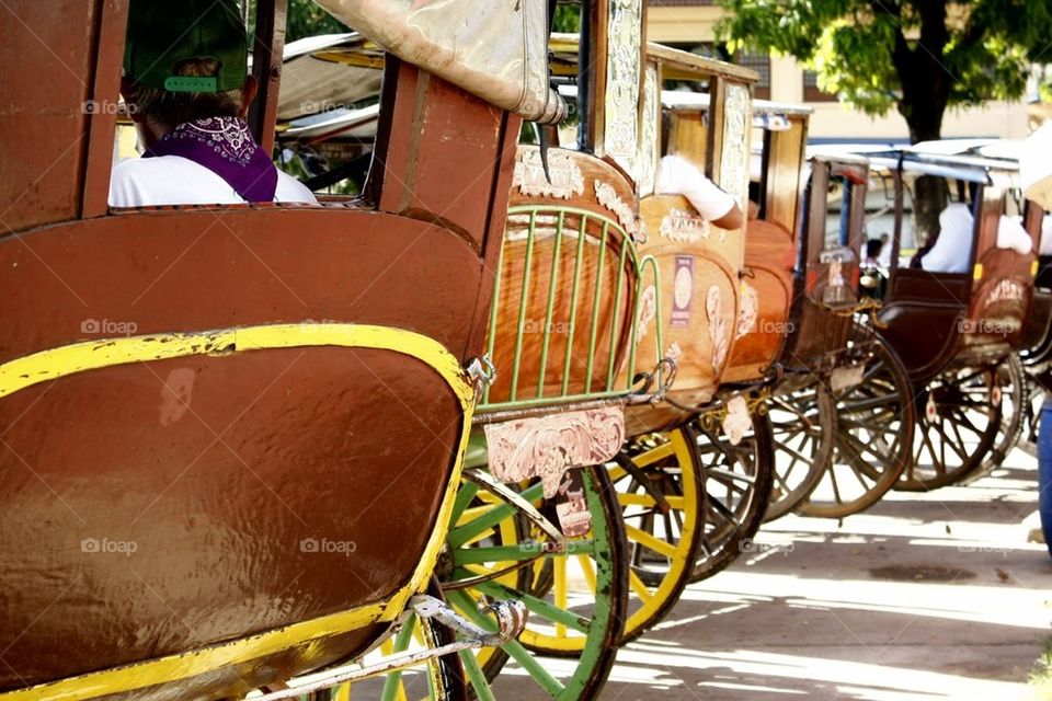 Wooden horse carriages