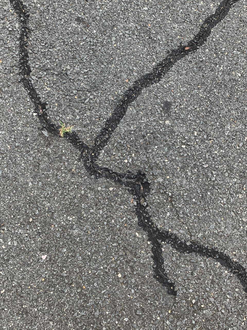 Asphalt texture with cracks. Good for backgrounds, texture maps, abstract concepts. 