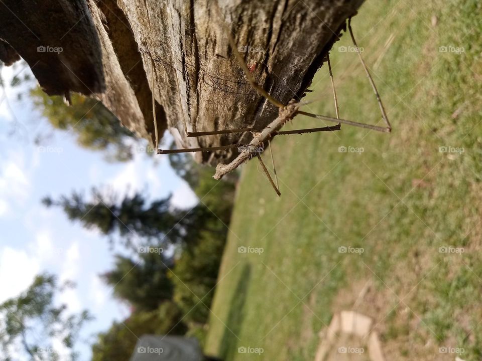 viva  intenssamente!!!