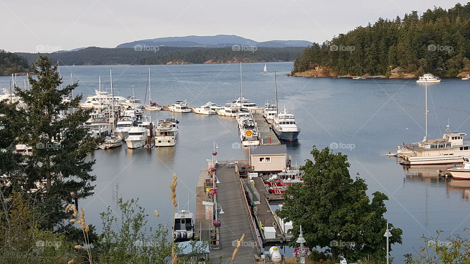 Overlook at Friday Harbor