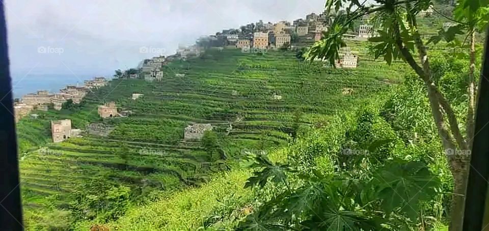 Glory be to God, the magnificent and picturesque view and the natural green trees are a view that is nothing more wonderful than it