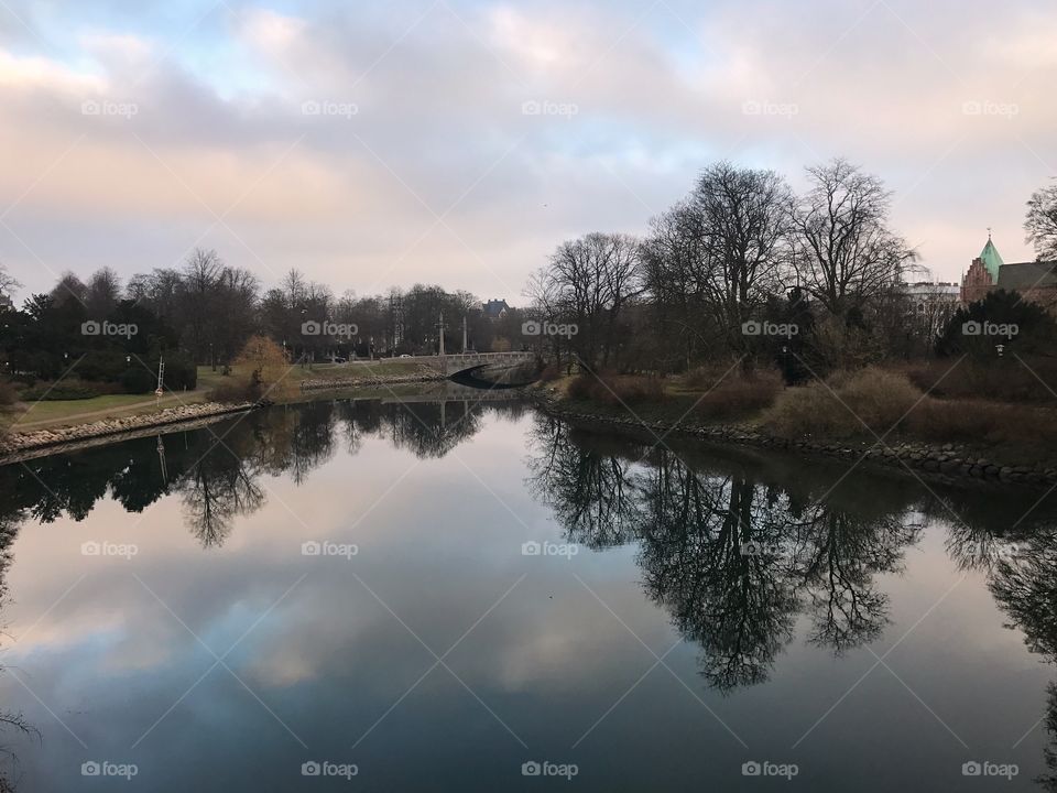 Reflection of trees and clouds on pond