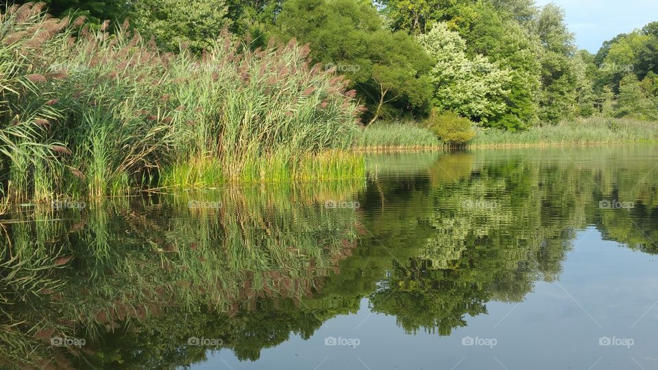 lake landscape, reflection