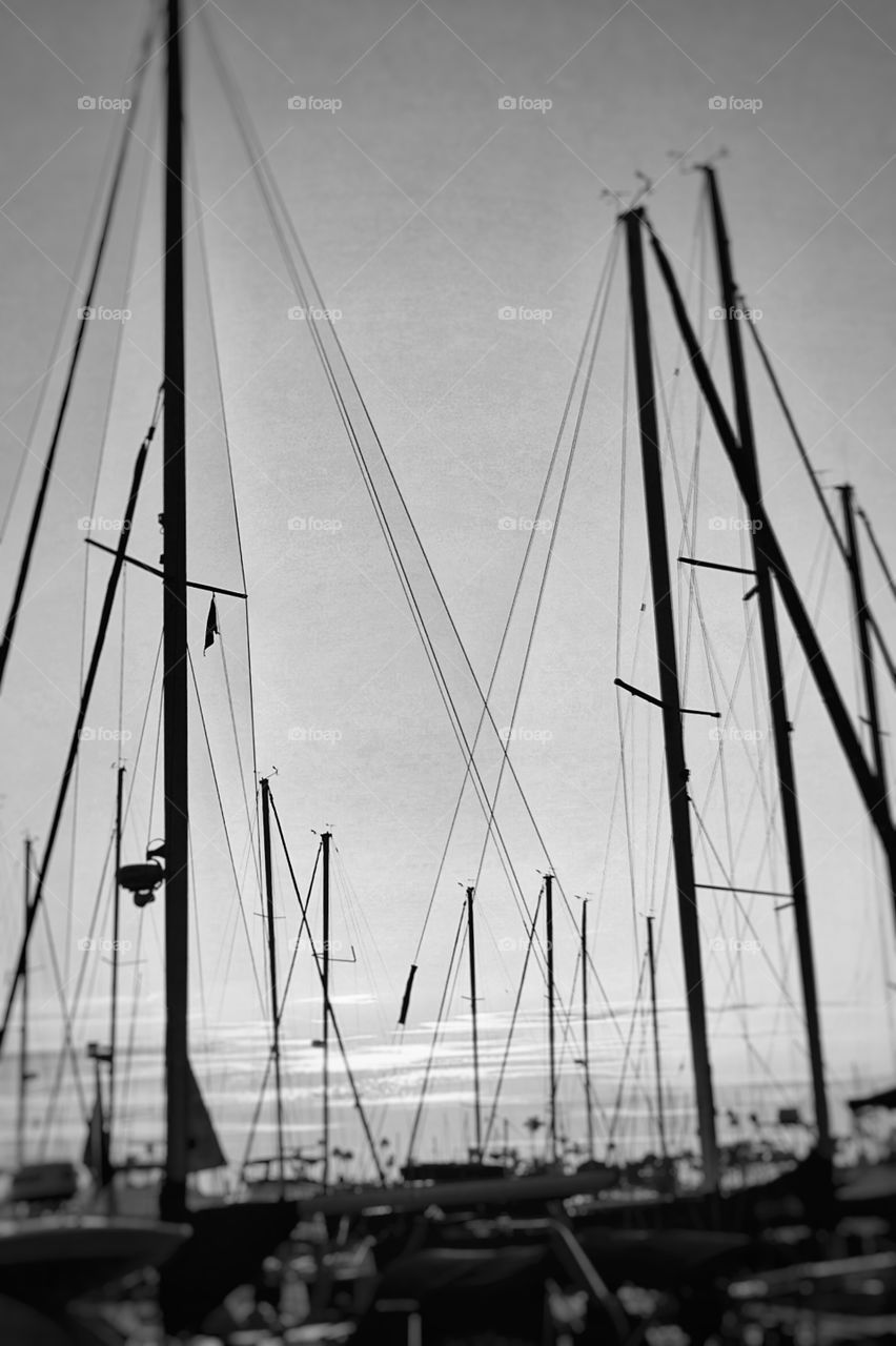 San Diego’s Point Loma Harbors, Boat Masts 