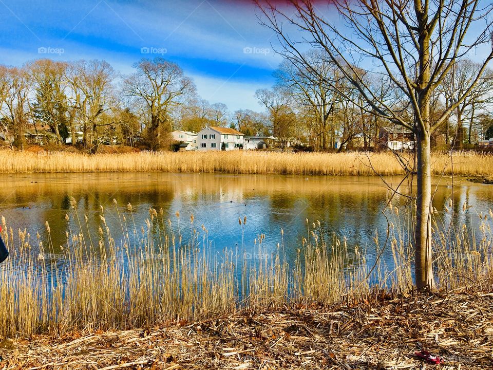 Suburban views 