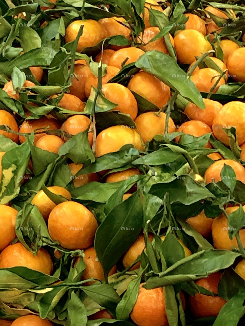 Mandarin oranges in an Asian market