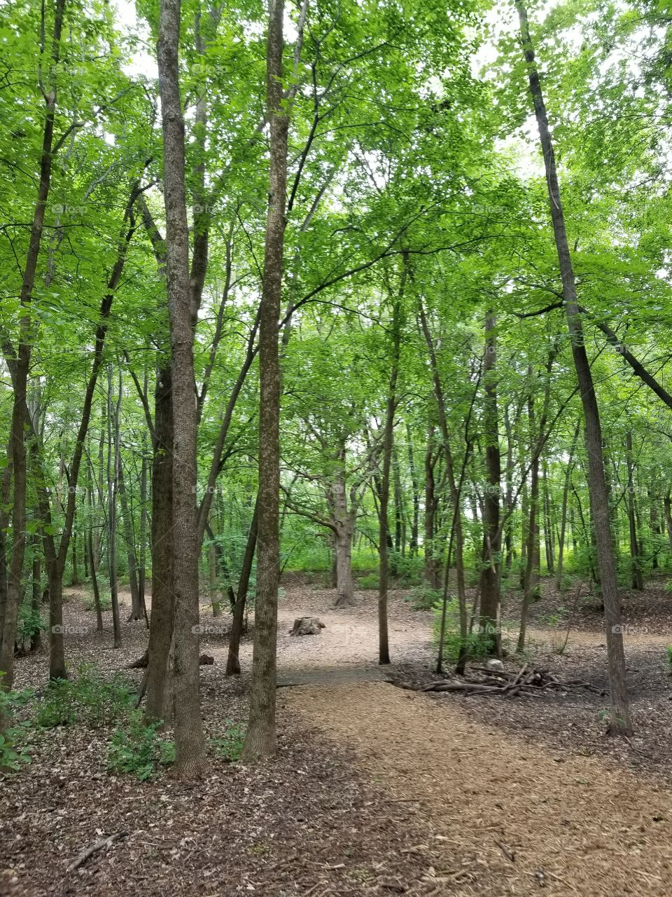 A lovely environment