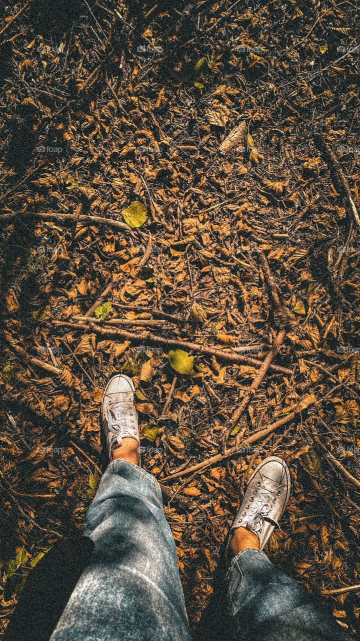 Photo of feet, legs, autumn 