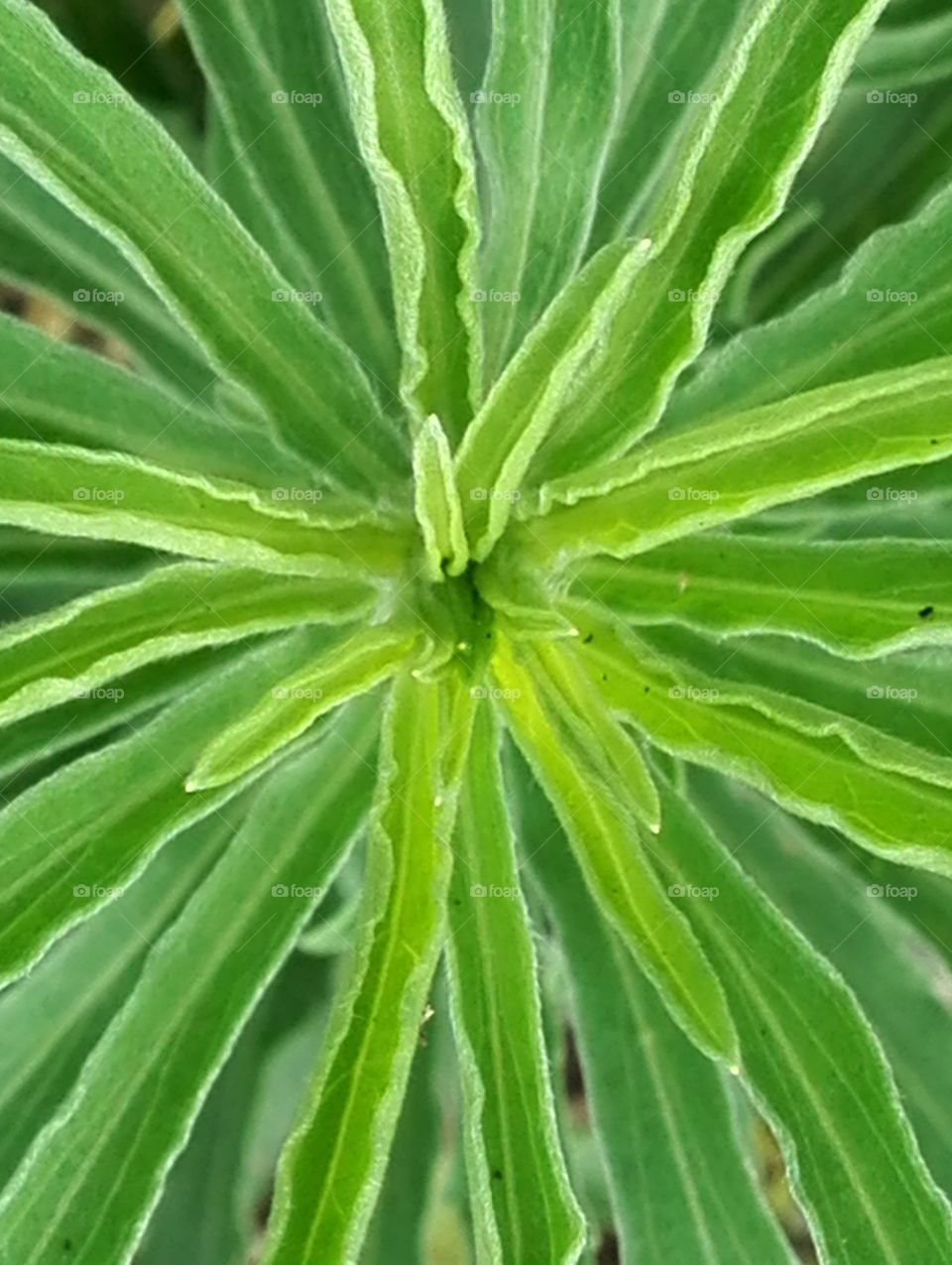 Expanding universe -- yes, no