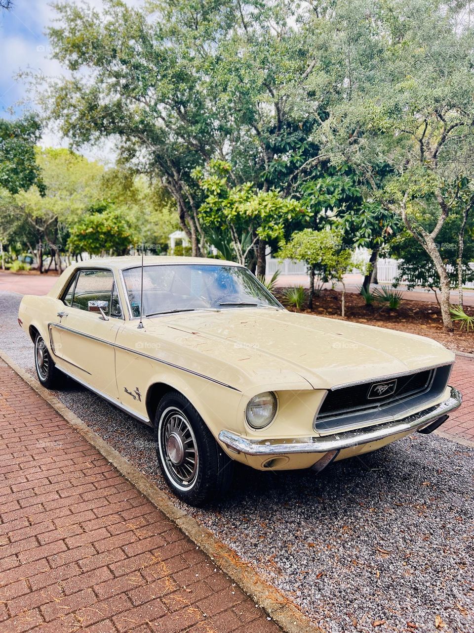 Classic yellow mustang at three-quarter view parked alongside brick sidewalk. The day is sunny and green trees in background 