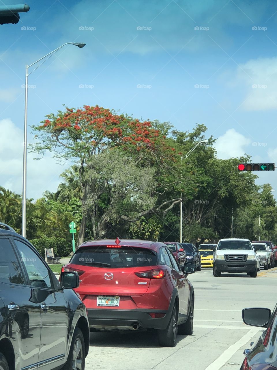 Calle de Miami -paisaje 