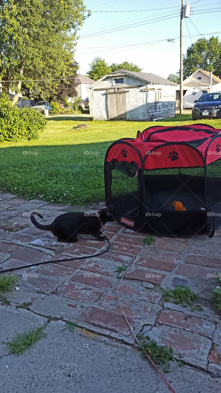 taking a break outdoors