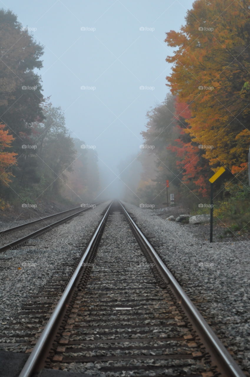 Foggy railroad