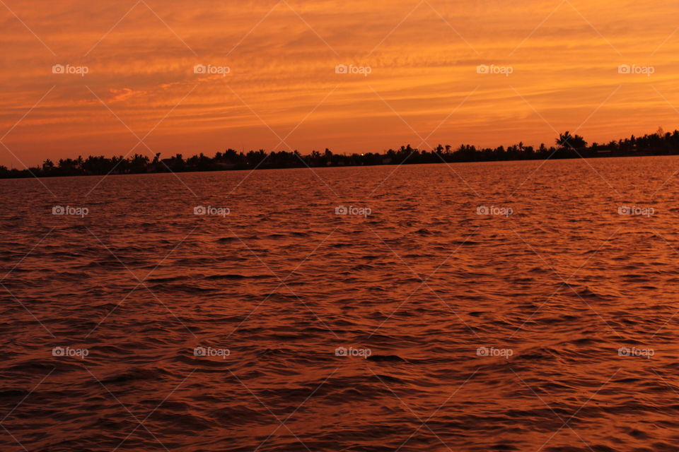 Orange Sea