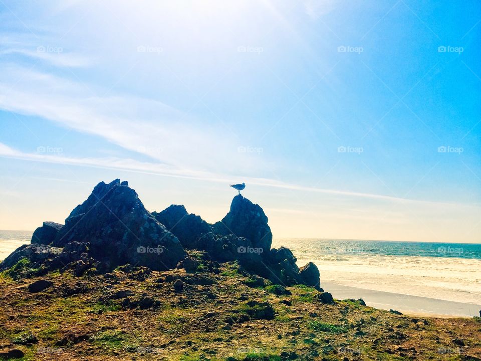 California Coastline