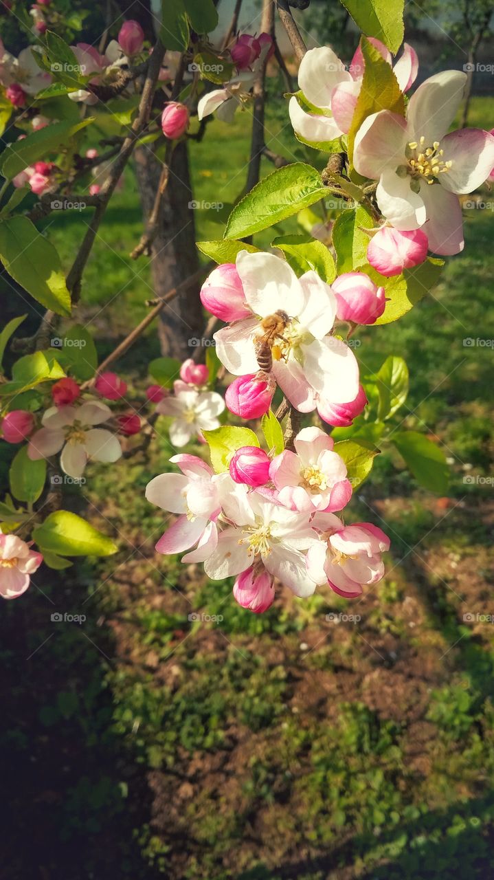 Wake up 😴💤💤🎶🎶