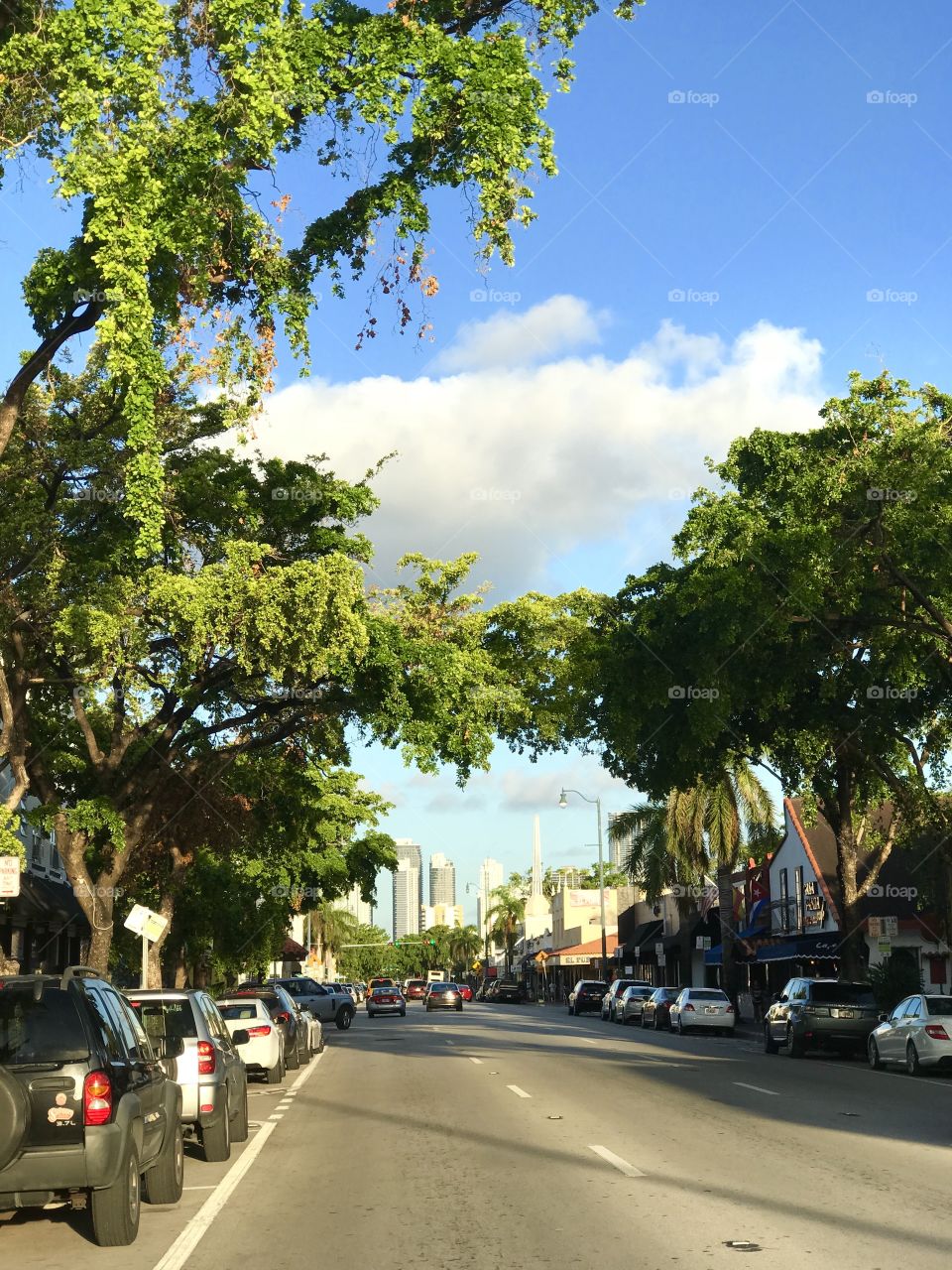 Calle Ocho, Miami