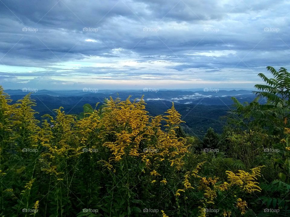 Vista looking off the mountains