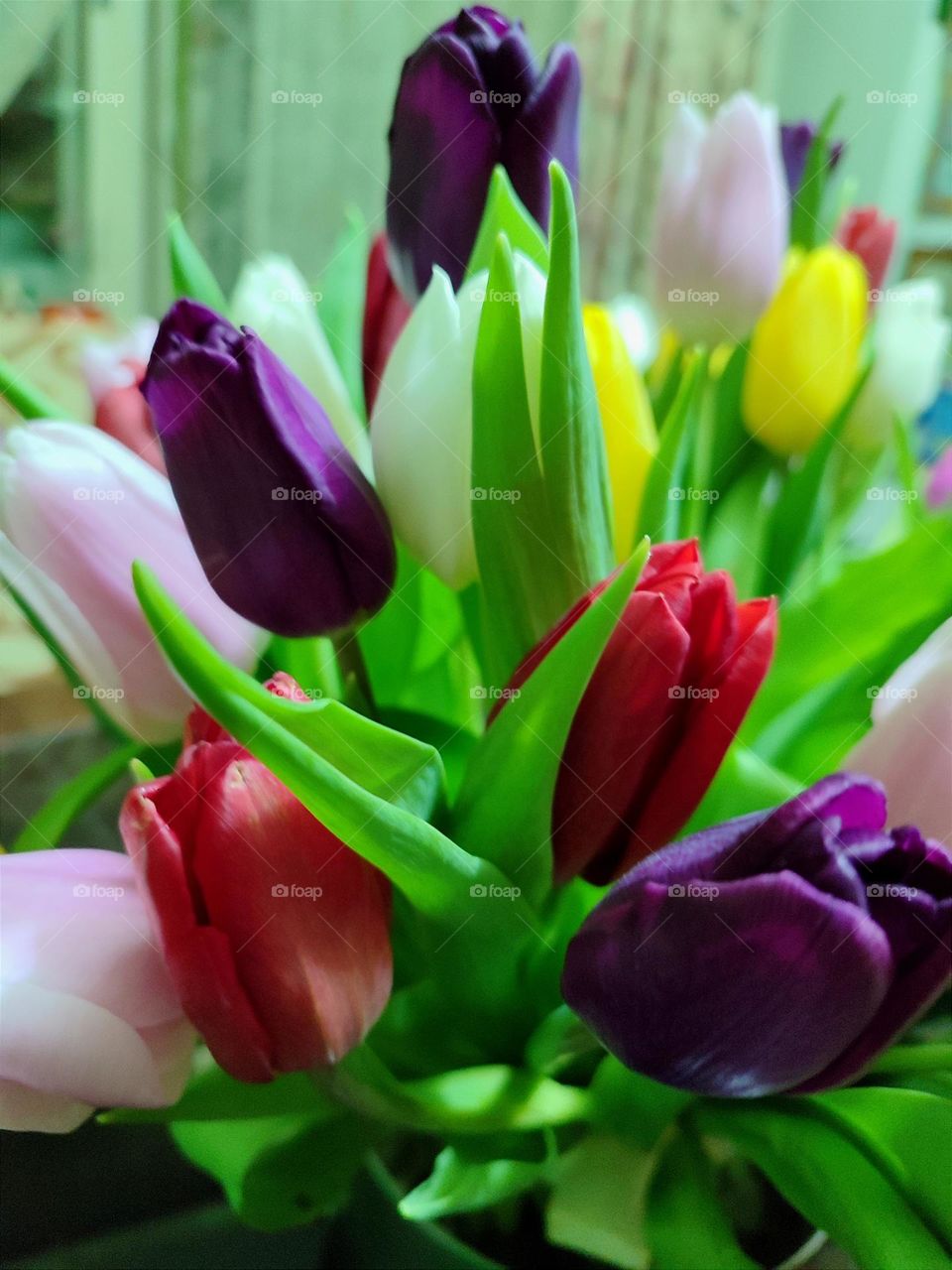 bouquet of colorful tulips