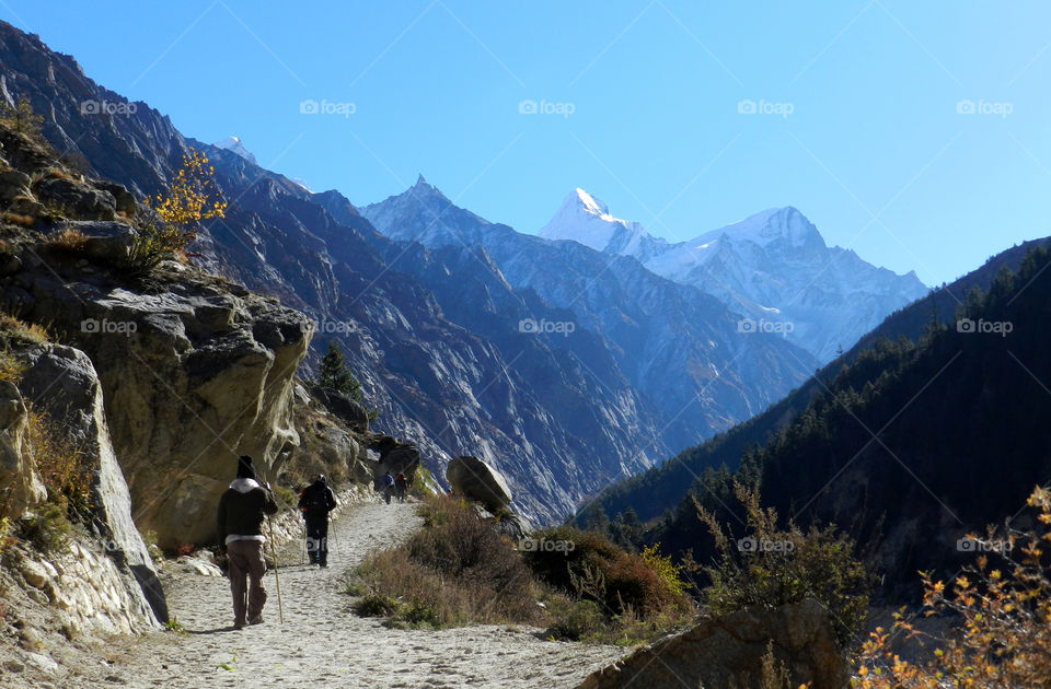 Gangotri National Park