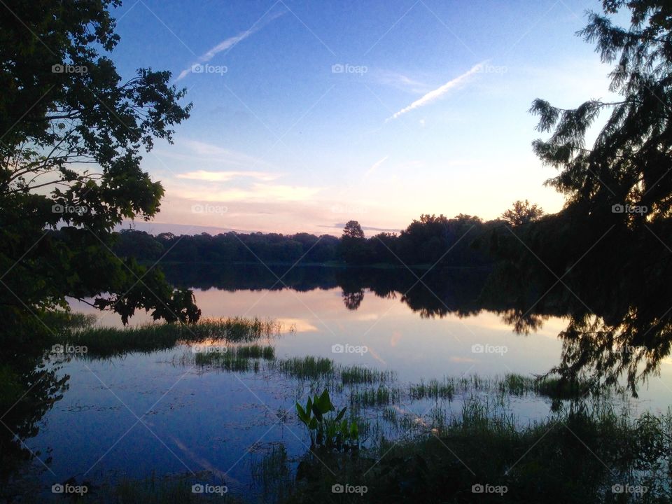 No Person, Water, Lake, Landscape, Tree