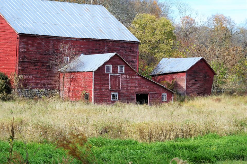 Barns