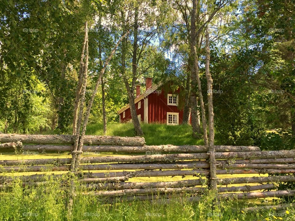 Scenic view of a farm