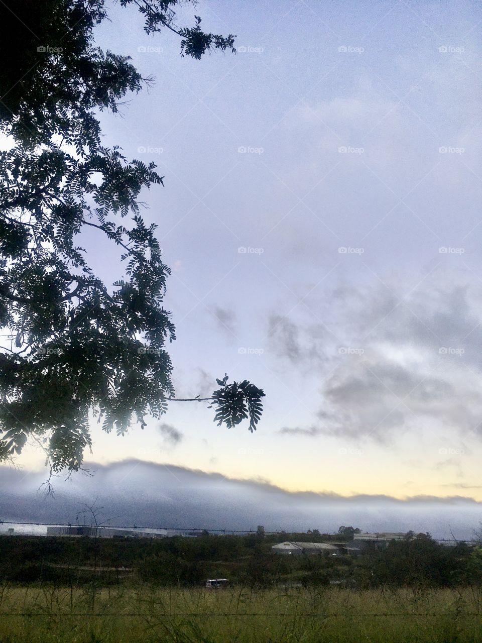 🌄🇺🇸 An extremely beautiful dawn in Jundiaí, interior of Brazil. Cheer the nature! / 🇧🇷 Um amanhecer extremamente bonito em Jundiaí, interior do Brasil. Viva a natureza!