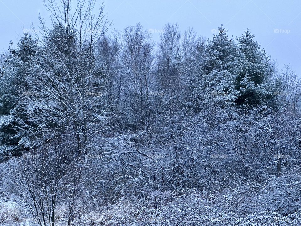 First snow of the season