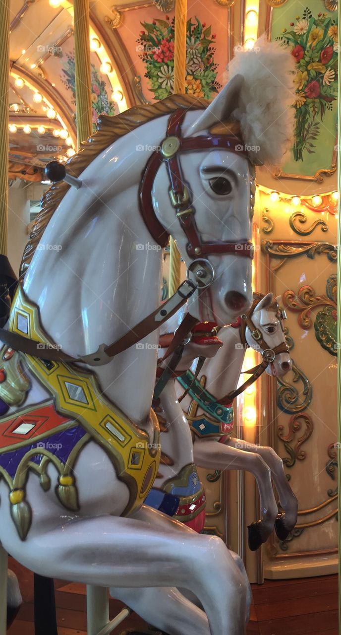 Carousel horse 