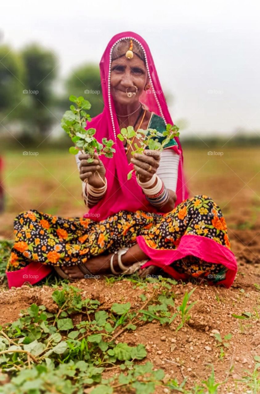 Indian lady Farmer work in firm. ( rajsthan farmer)