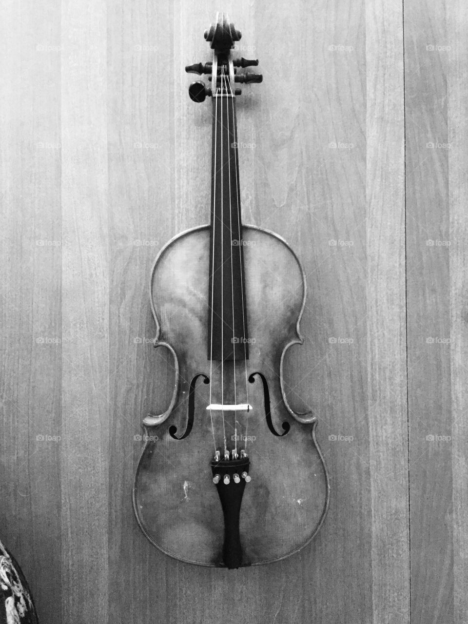 Old violin we have had put up