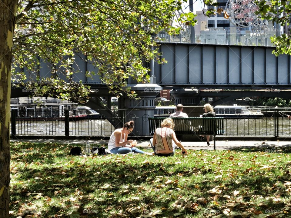 Park, People, Bench, Garden, Tree