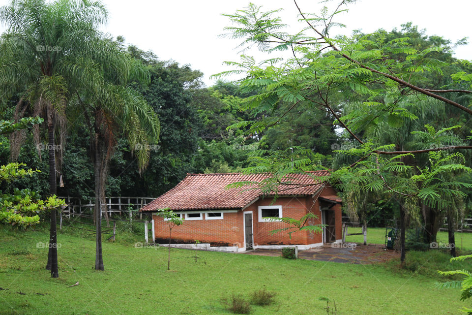 sítio
