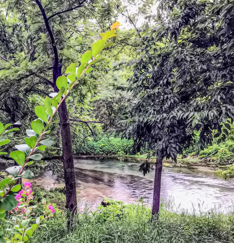 A pretty peaceful spot at a shallow part of a running river on a bright summer day. 