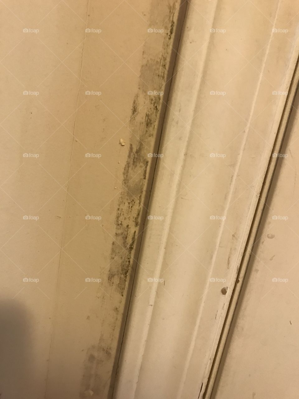 Mold on a wall