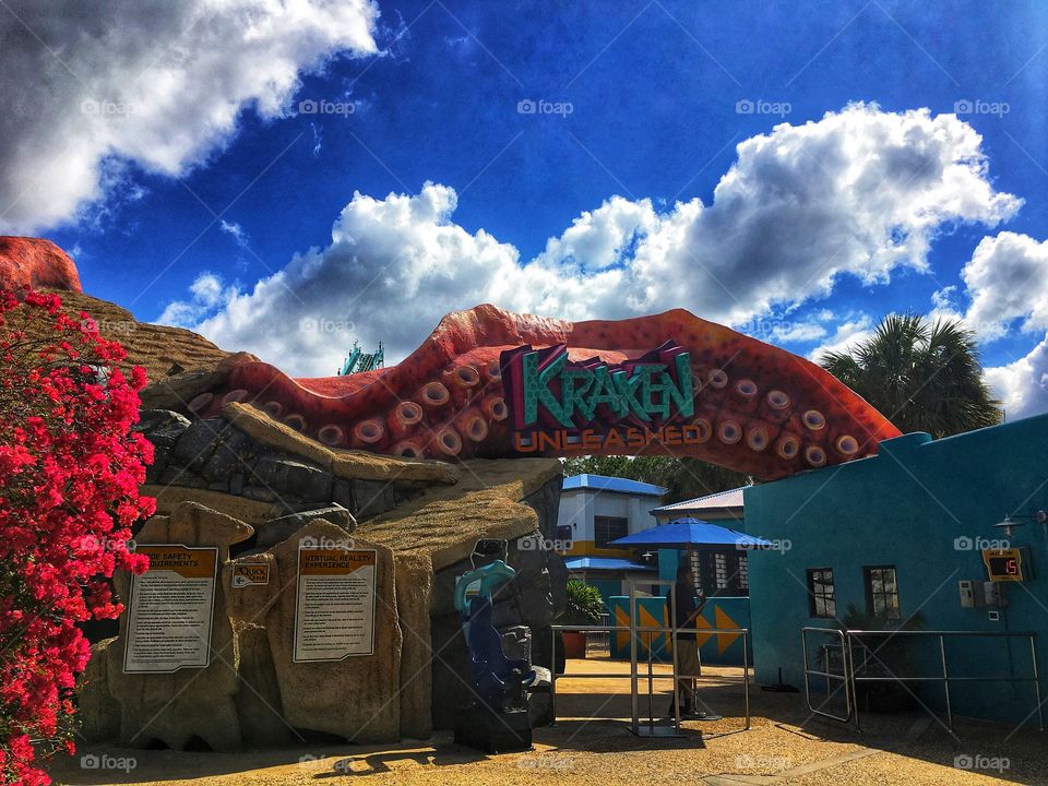 Roller coaster thrills 