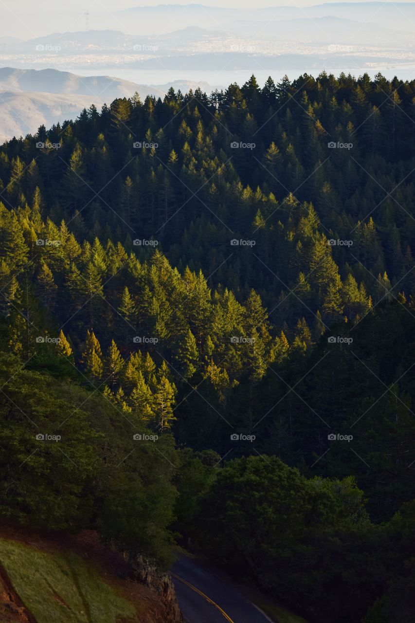 View from the Mount Tam, San Francisco, CA