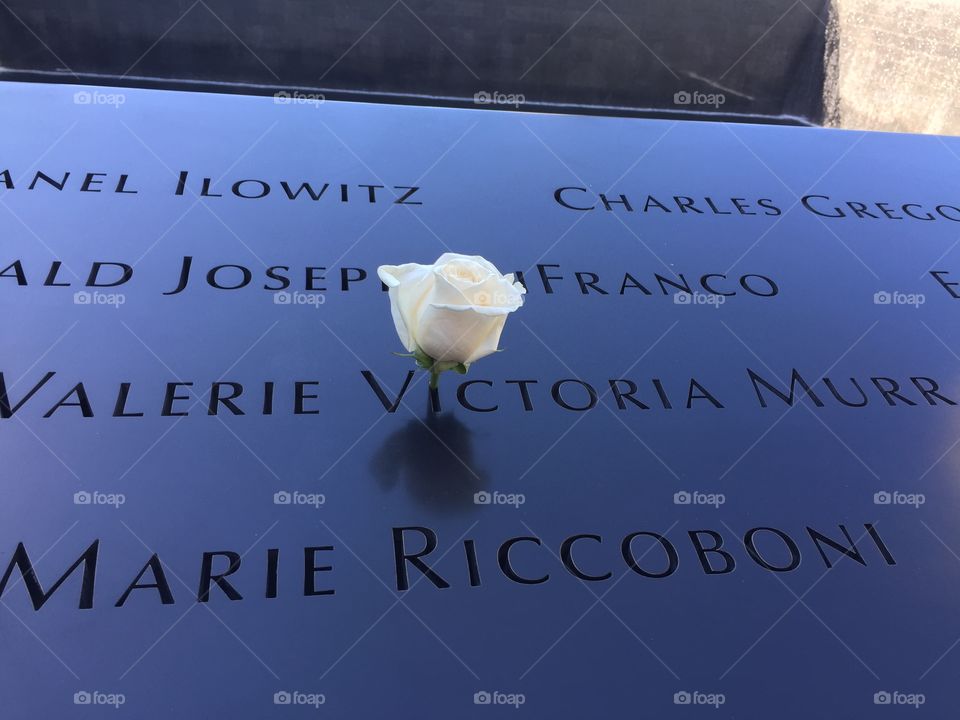 A single rose at the 9/11 Memorial