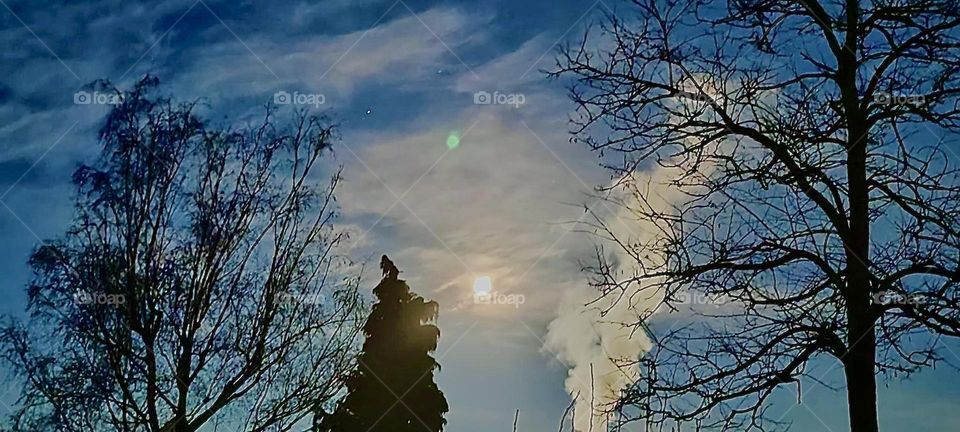 A full moon over Bavaria lights up the scenery almost as brightly as the sun on certain days. Clouds and mist in the air are reflecting the moonlight once again to illuminate the trees reaching for the sky. 2023. Hypnotic Productions