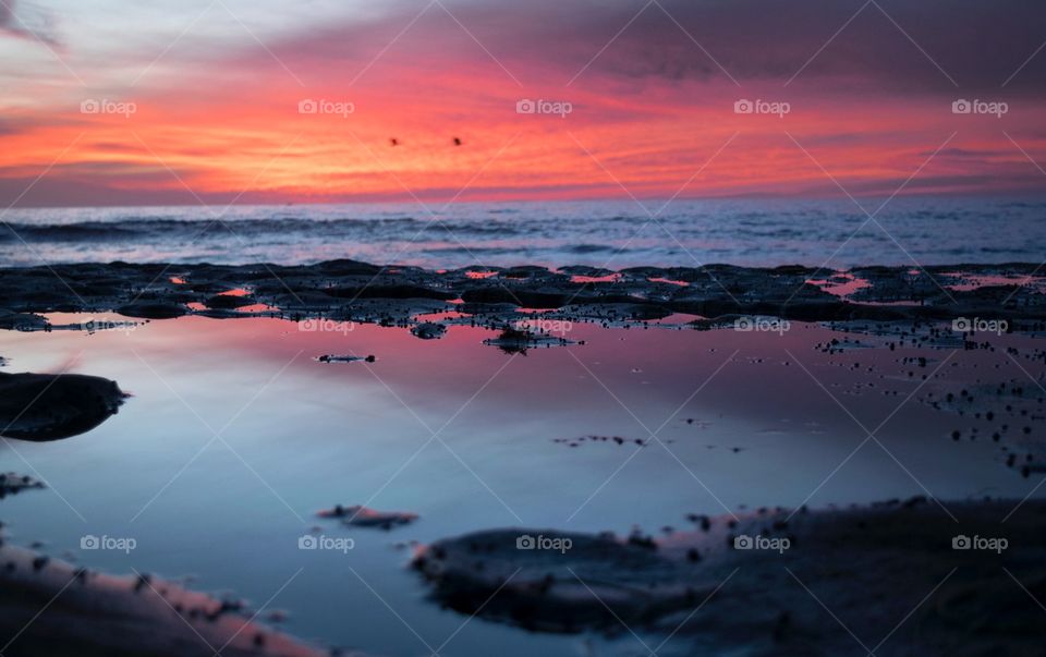Sunset, Water, Sea, Beach, Ocean