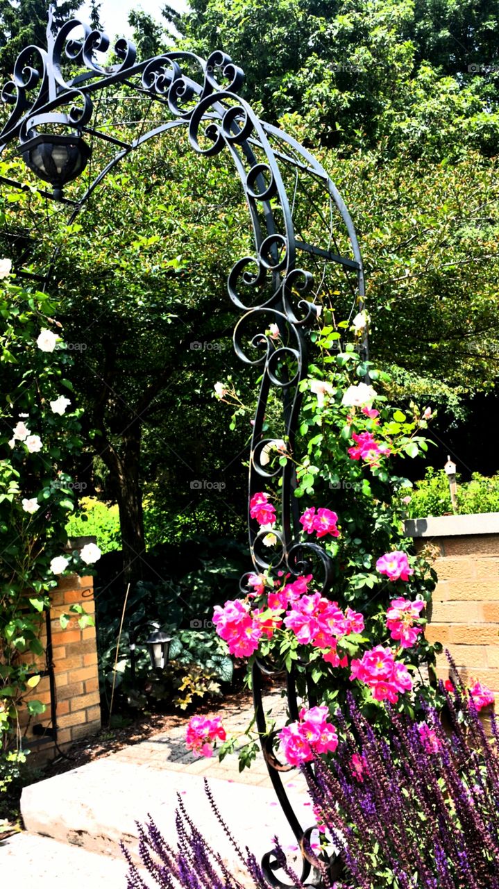 Landscaping. Elegant Entrance