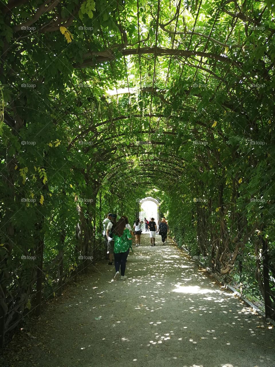 green tunnel