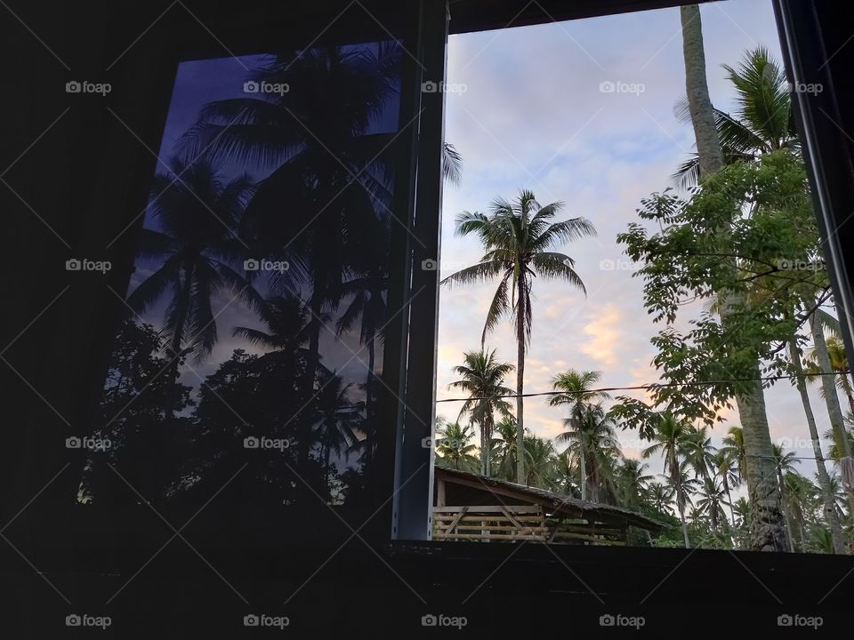 #perspective #windows