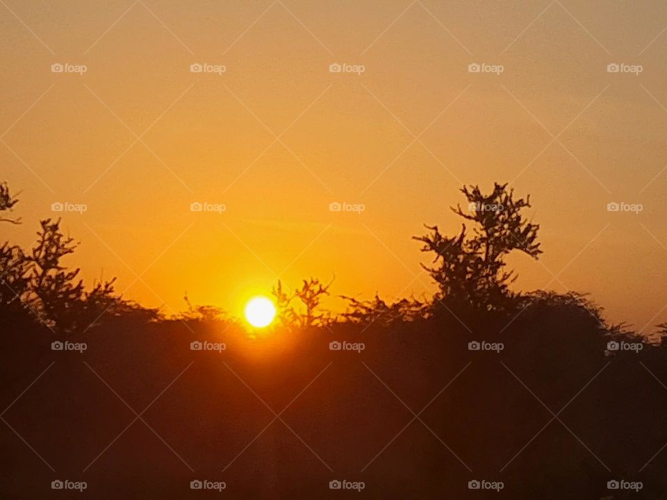 Sunrise view at Sariska National Park