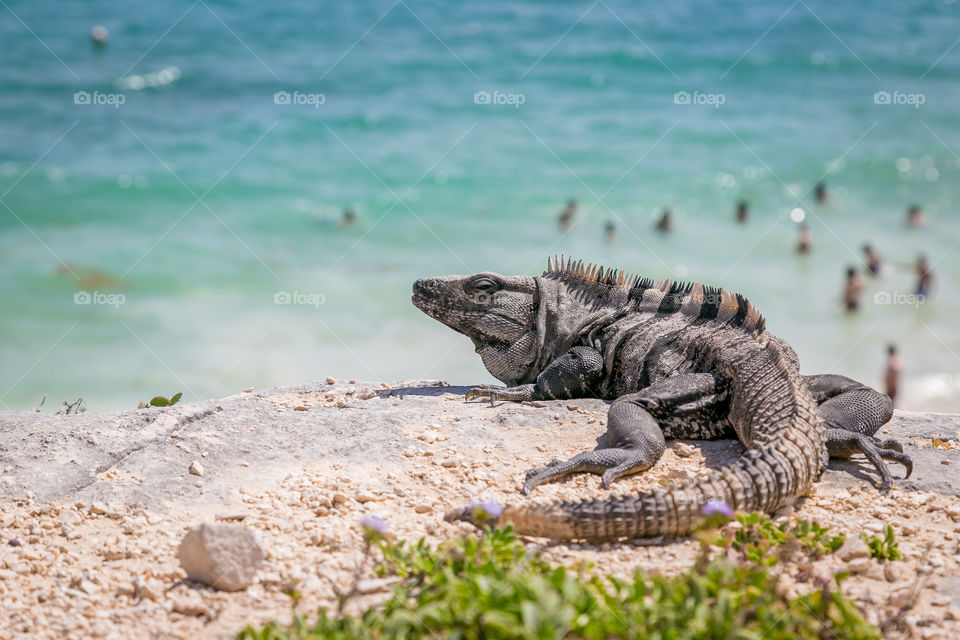 Tulum. México